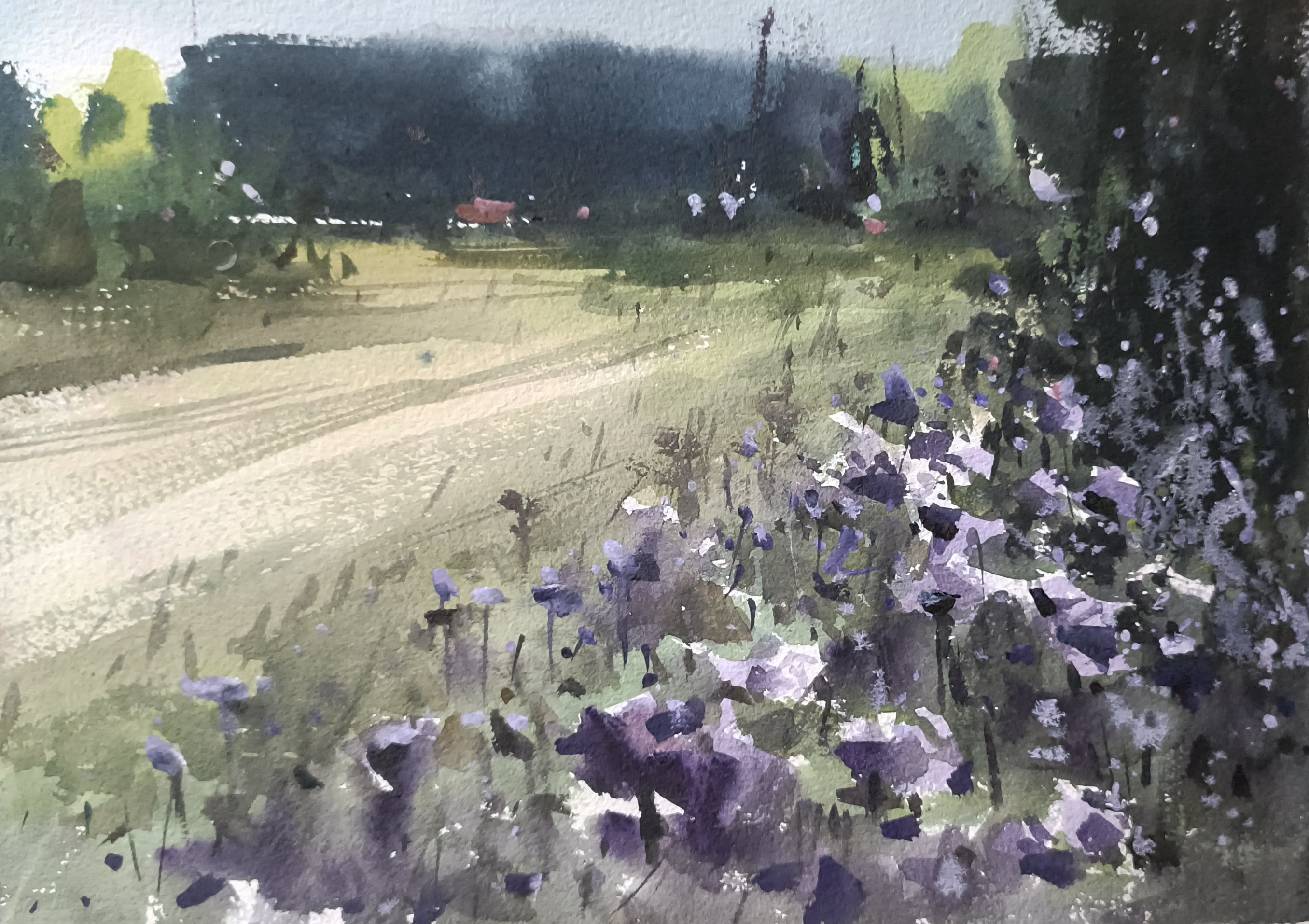Rural Road