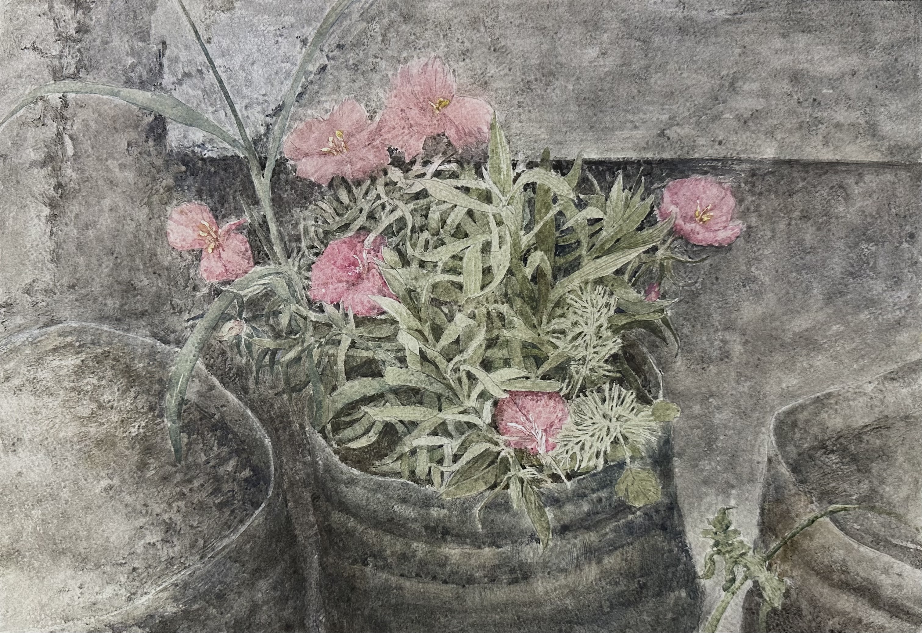 Flower Language---Second Prize