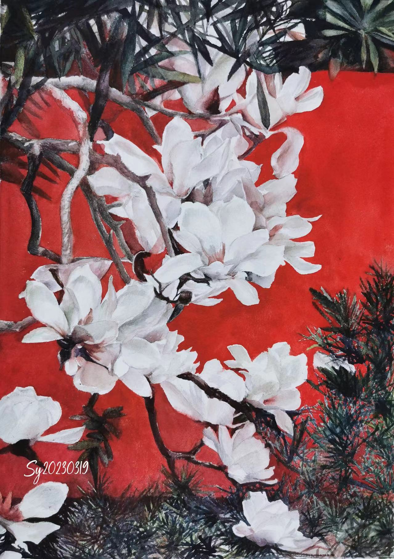 Jing Hong