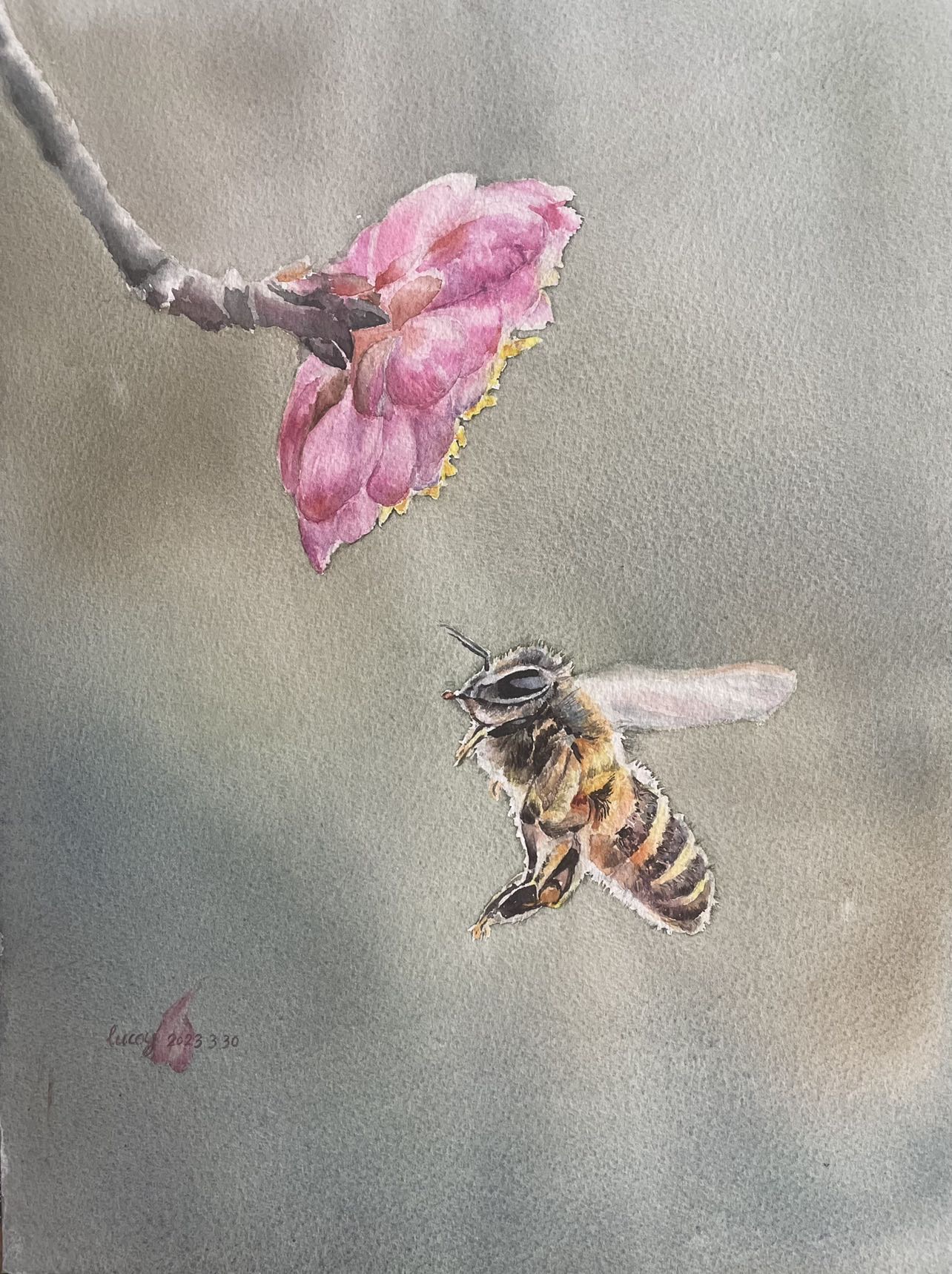 Bee