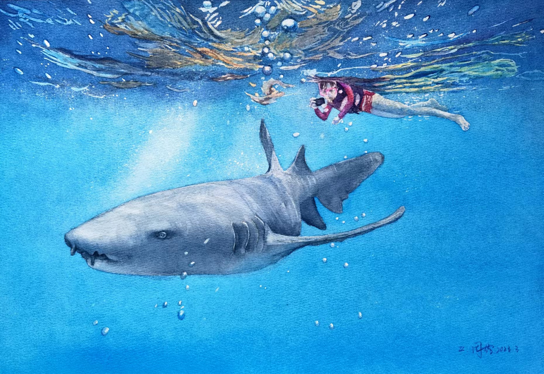 Dance With Sharks