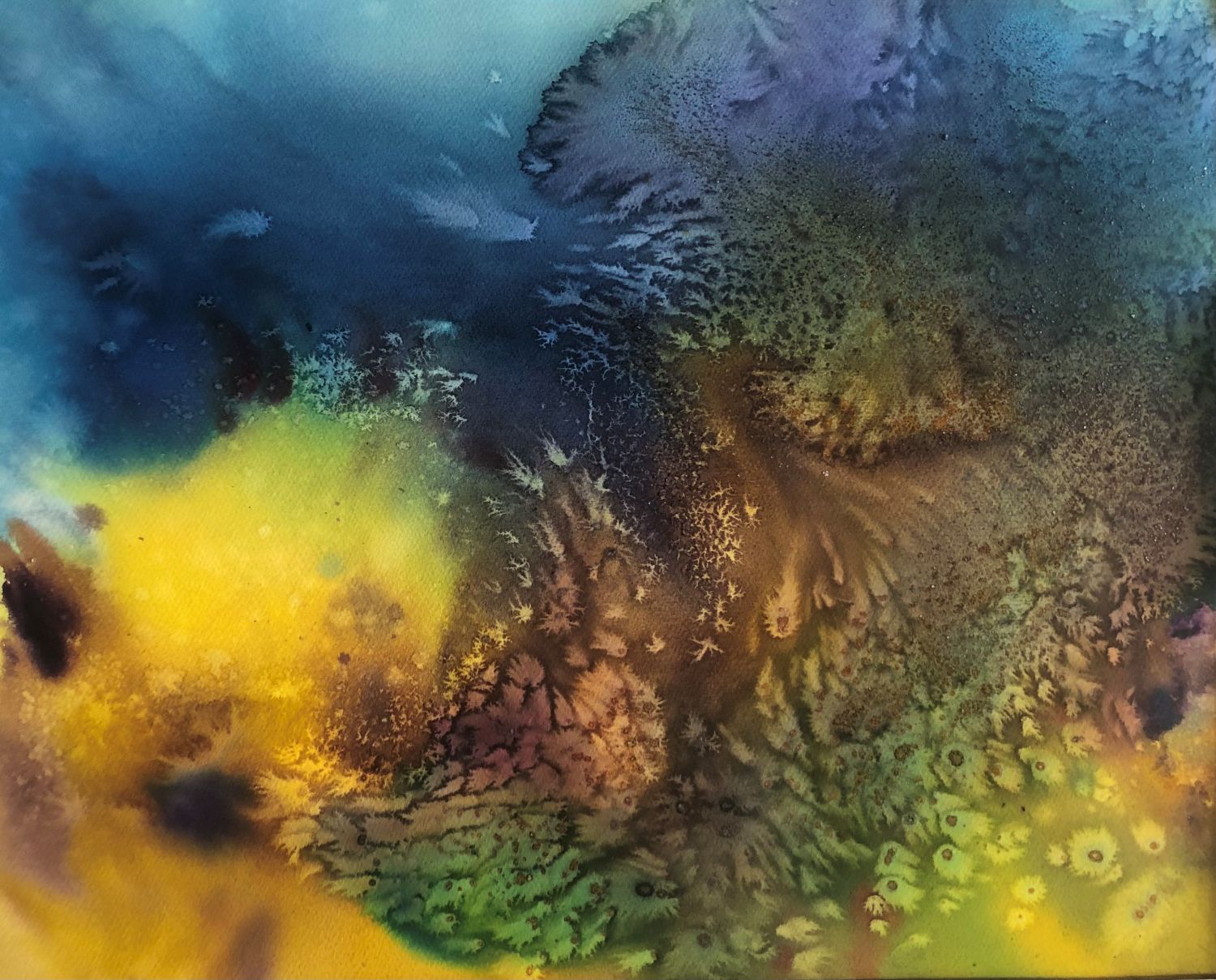 Sorgente nascosta-Second Prize