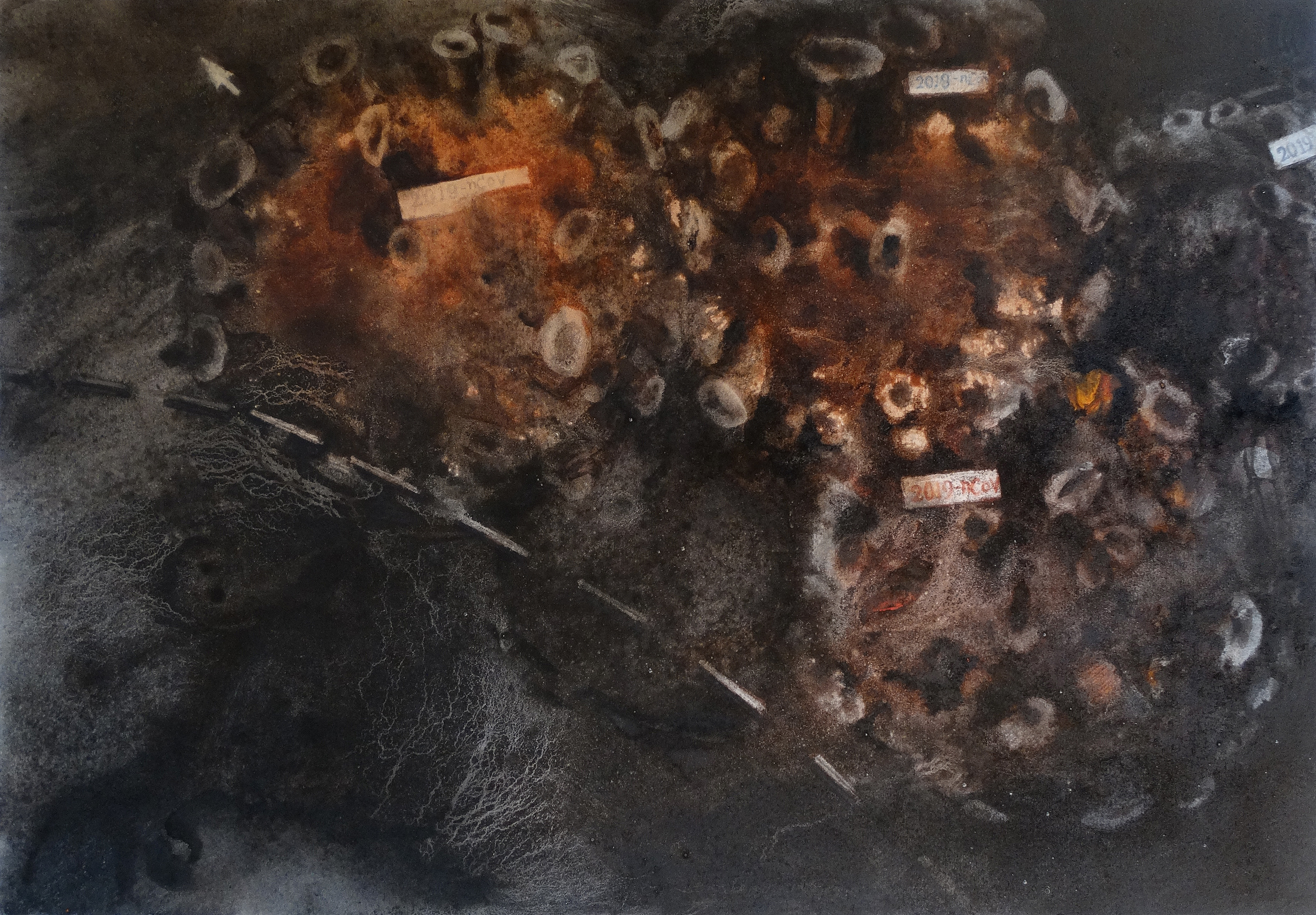  COVID-19 Research Report -Third Prize